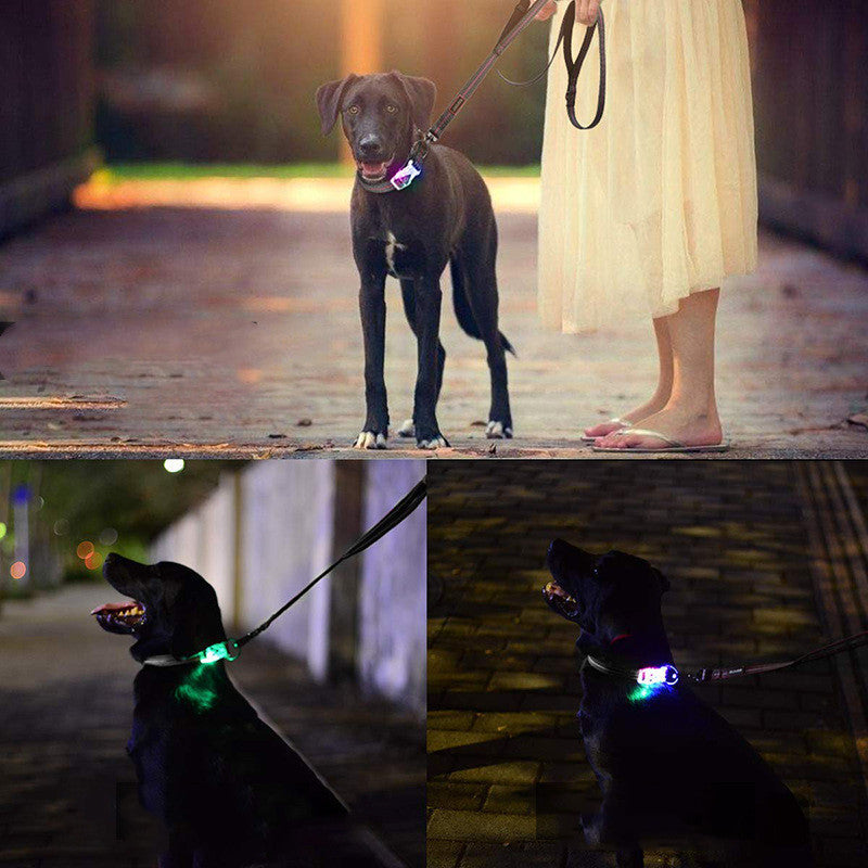 JMT-326282 LED Luminous Nylon Reflective Pet Collar Leash with Multi-Flash Modes