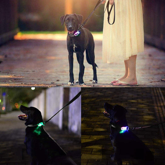 JMT-326282 LED Luminous Nylon Reflective Pet Collar Leash with Multi-Flash Modes