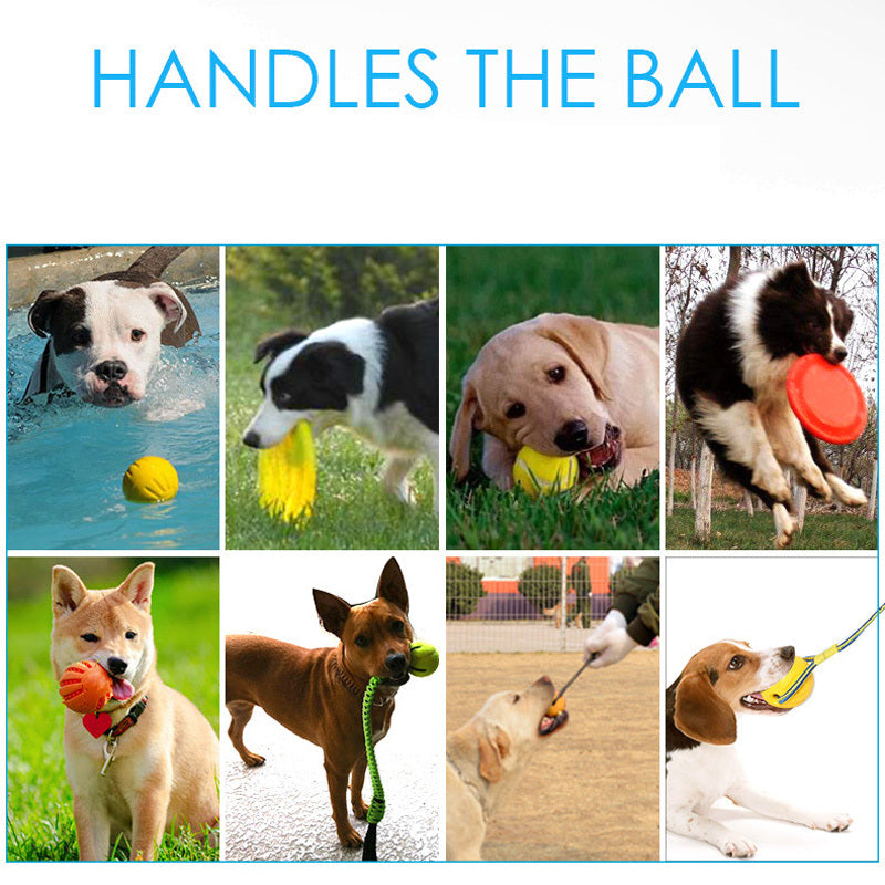 JMT-326922 Interactive EVA Rubber Dog Toy for Outdoor Play and Training - Frisbee & Pull Ring
