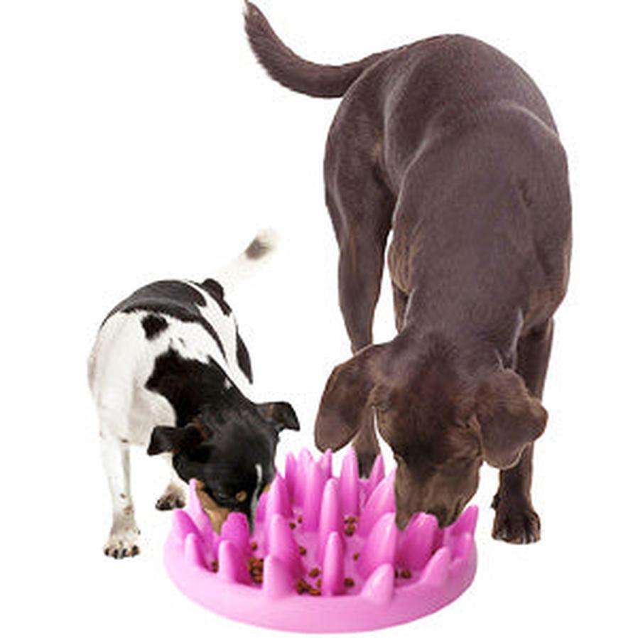 JMT-336650 Interactive Non-Slip Cat and Dog Slow Feeder Bowl - Jungle Puzzle Design for Healthy Eating
