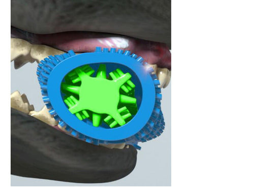 JMT-336970 Dog Toothbrush with Silicone Design for Effective Dental Care