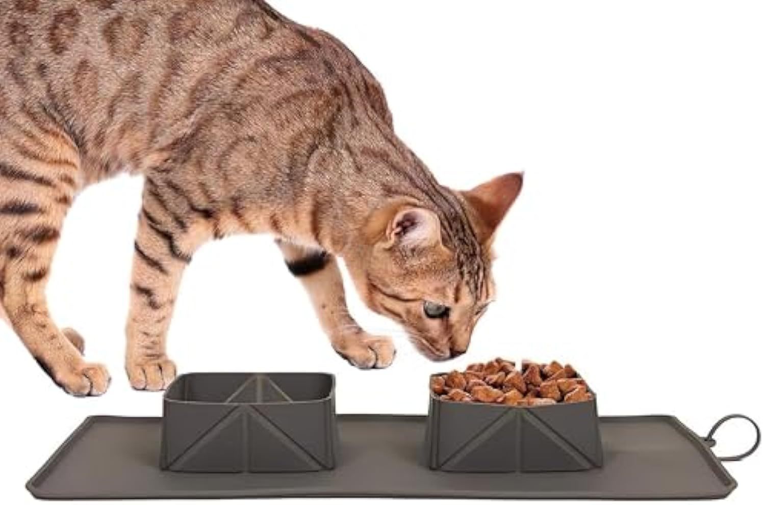 JMT-338954 Collapsible Silicone Pet Feeder Bowls for Dogs and Cats - Portable and Lightweight Travel Dishes for Food and Water