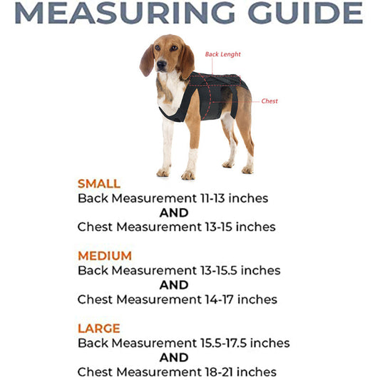 JMT-341066 Adjustable Back Brace for Dogs with IVDD, Arthritis, and Surgical Recovery Support