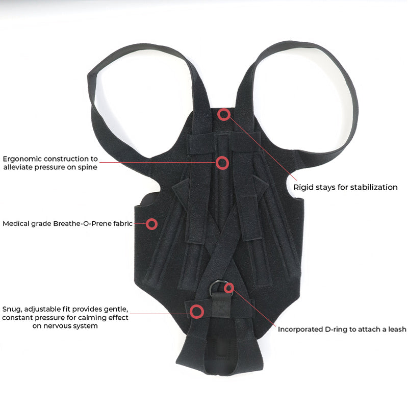 JMT-341066 Adjustable Back Brace for Dogs with IVDD, Arthritis, and Surgical Recovery Support