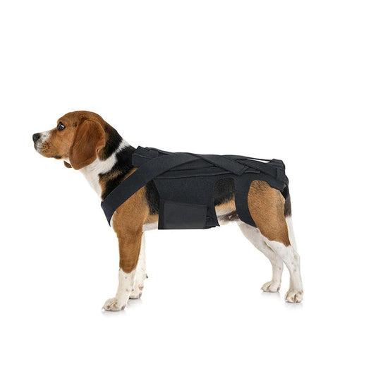 JMT-341066 Adjustable Back Brace for Dogs with IVDD, Arthritis, and Surgical Recovery Support