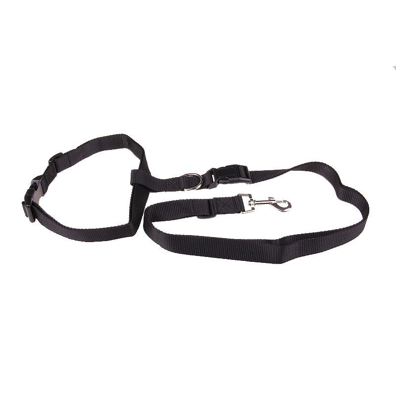 JMT-341770 Adjustable Nylon Traction Rope for Dog Running - 2.5cm Wide, 120m Length, Fits Waists up to 110cm
