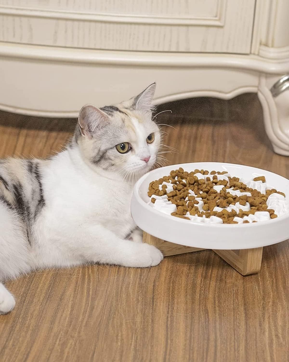 JMT-343754 Ceramic Slow Feed Pet Bowl for Cats and Small Dogs - Promotes Healthy Eating Habits