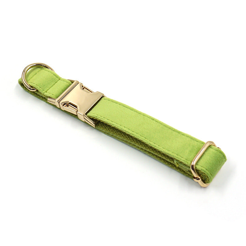 JMT-353290 Wind Cross-border Matcha Green Velvet Dog Collar with Gold Buckle - Adjustable Size XS to XL