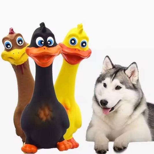 JMT-355082 Eco-Friendly Squeaky Latex Chicken Toys for Interactive Dog Play - Set of 3