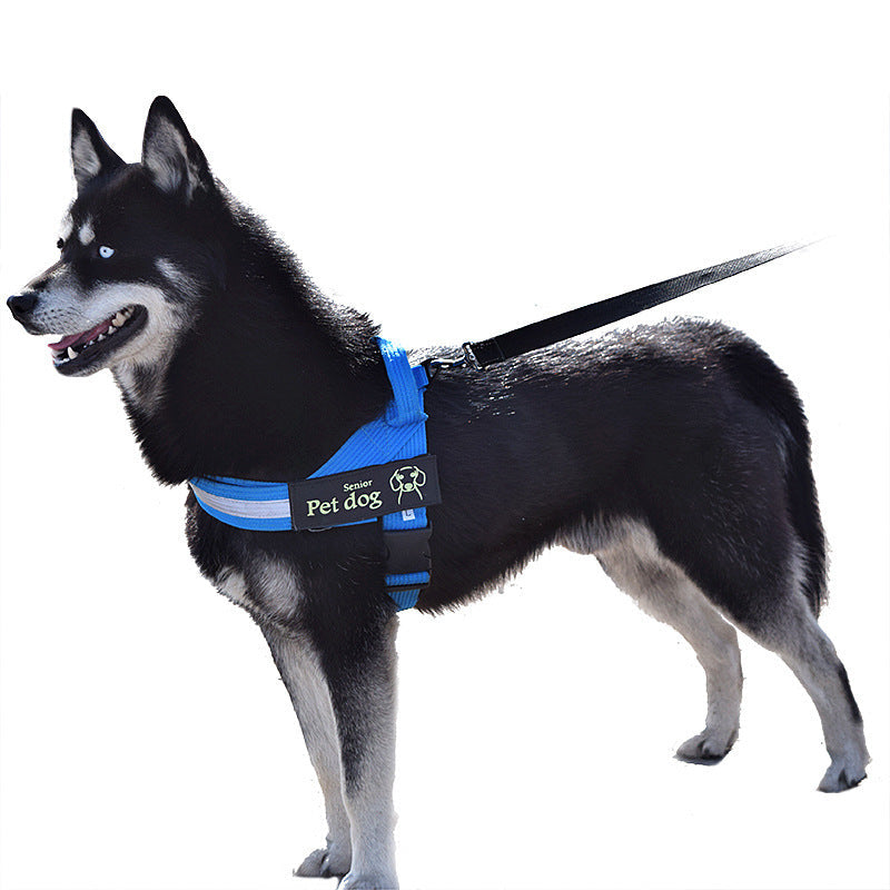 JMT-355274 Adjustable Nylon Dog Leash and Chest Harness in Blue, Black, and Red - Multiple Sizes Available