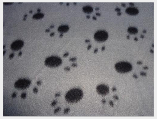 JMT-360842 Double-Sided Pet Blanket with Claw Prints for Comfortable Bedding and Versatile Use