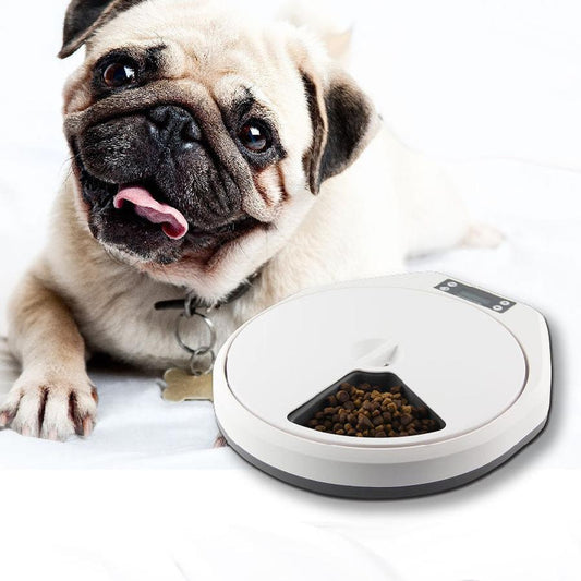 JMT-361866 Intelligent Automatic Pet Feeder for Cats and Dogs with Timed Meal Scheduling