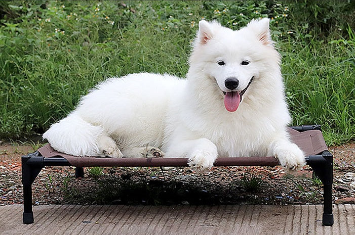 JMT-361994 Moisture-Proof Removable Washable Pet Bed with Oxford Cloth and Metal Frame