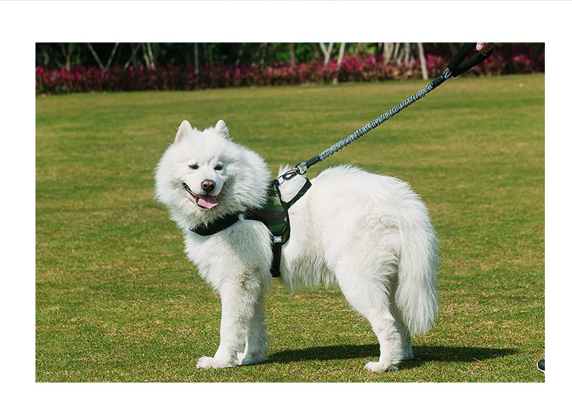 JMT-364490 Durable Nylon Dog Leash with Adjustable Chest Strap for Medium to Large Dogs