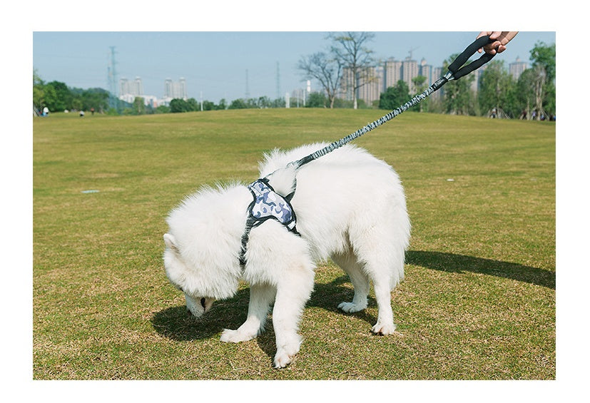 JMT-364490 Durable Nylon Dog Leash with Adjustable Chest Strap for Medium to Large Dogs