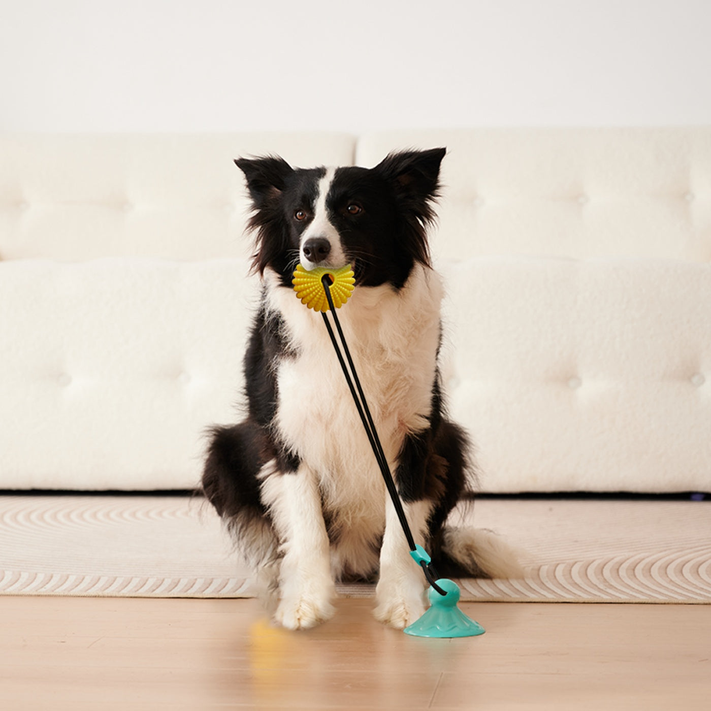 JMT-367434 Interactive Corn Ball Chew Toy with Suction Cup for Dogs - Teething Rope Tug of War Toy for Medium to Large Dogs