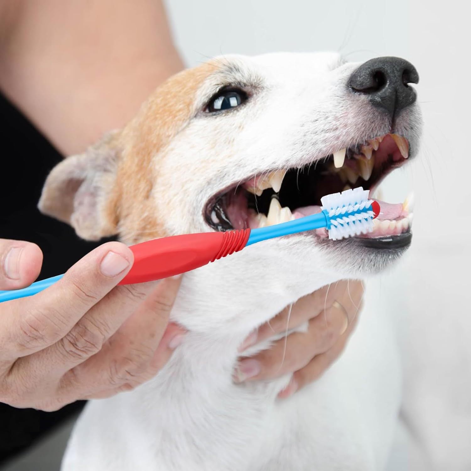 JMT-376586 360-Degree Dual-Head Dog and Cat Toothbrush with Anti-Slip Handle for Effective Dental Care