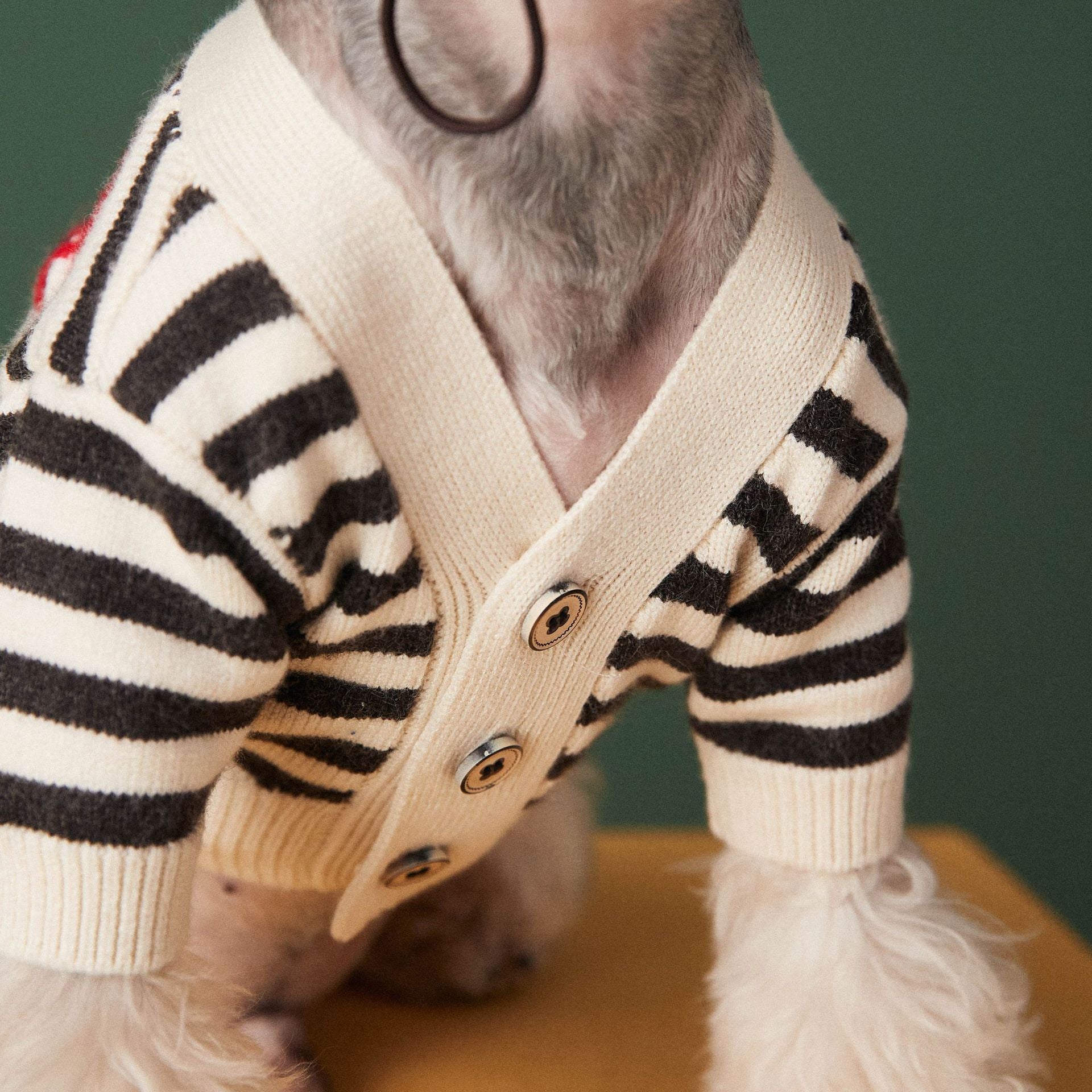 JMT-382730 Cozy Striped Cotton Sweater Cardigan for Small Dogs - Various Sizes Available