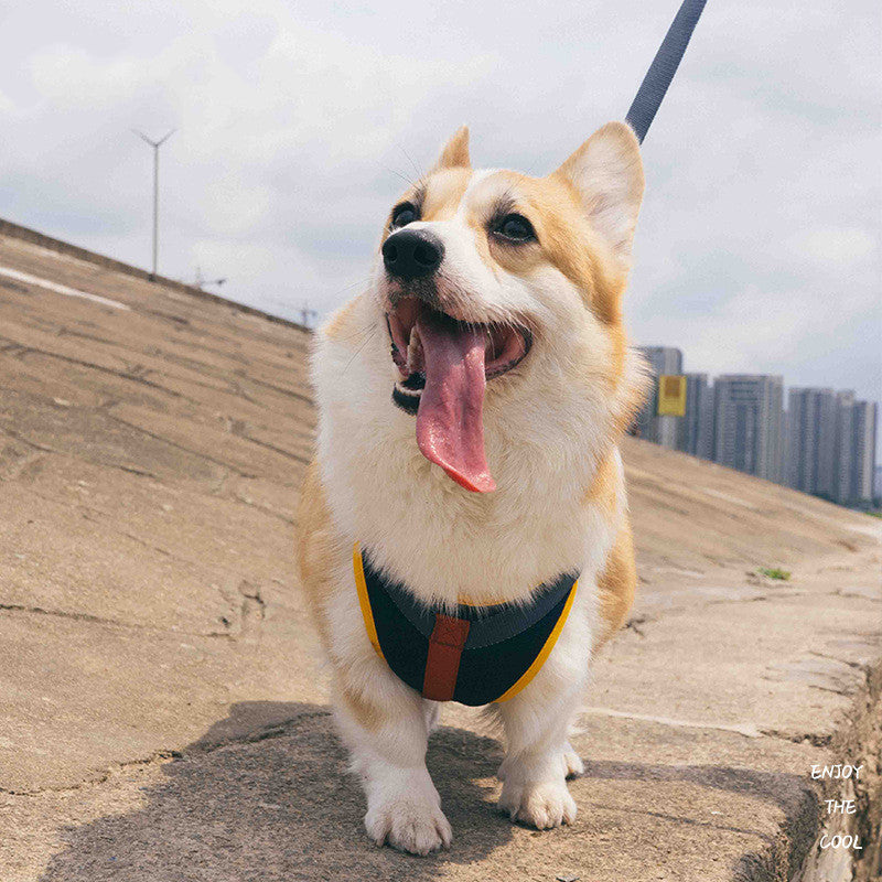 JMT-385738 Adjustable Pet Chest Strap Dog Leash for Comfortable and Breathable Fit