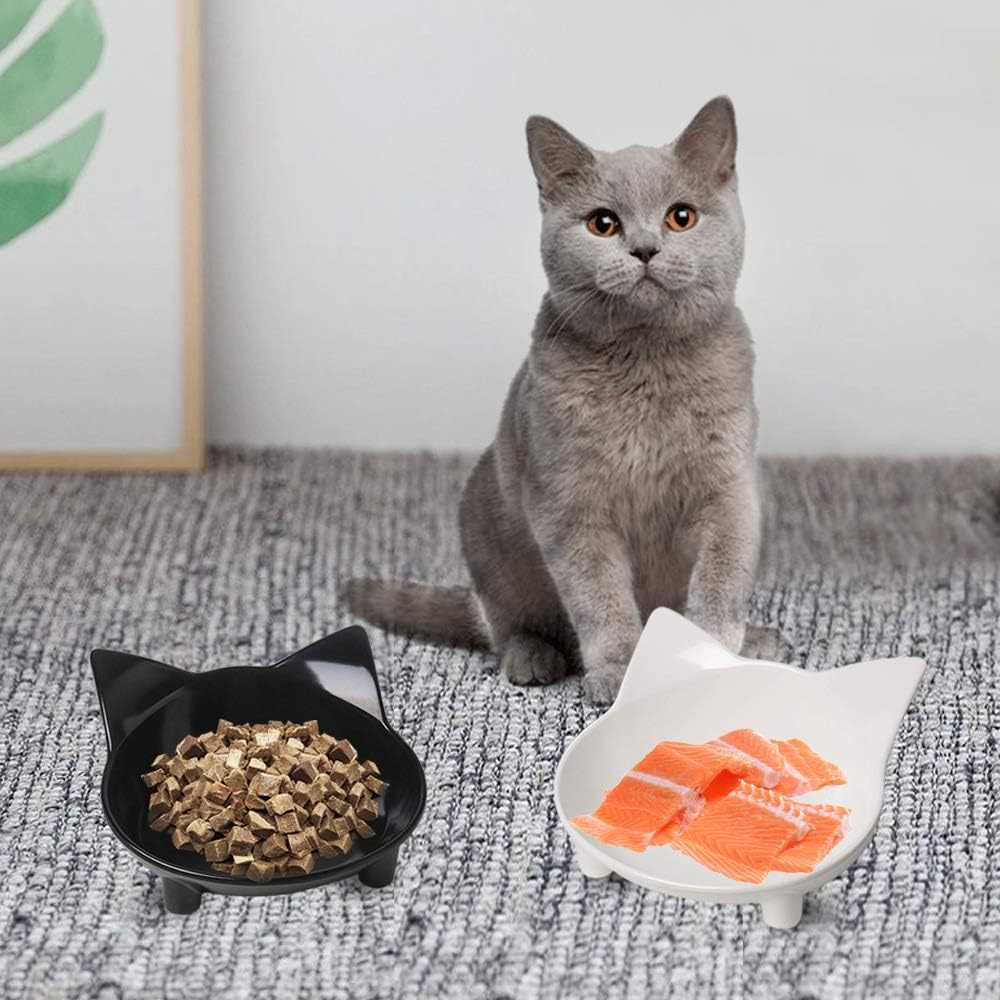 JMT-387530 Non-Slip Shallow Cat Feeding Bowl | BPA-Free Melamine Pet Dish for Cats and Small Animals