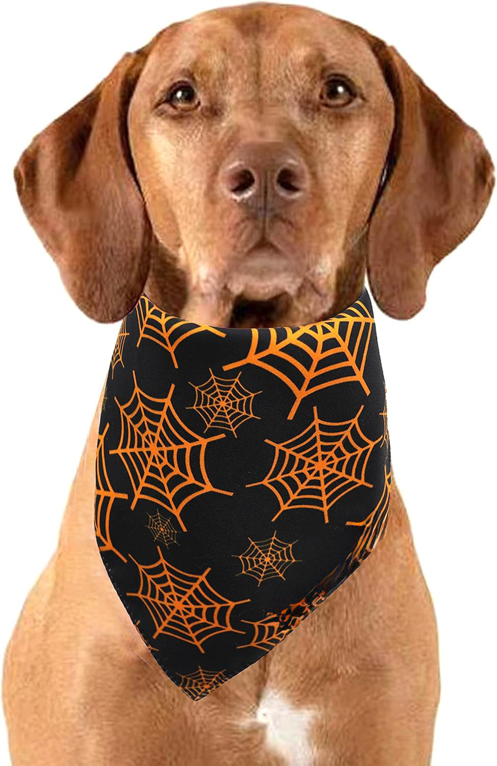 JMT-390474 Reversible Halloween Dog Bandana with Pumpkin and Spider Web Designs for Pets, Adjustable Fit up to 16 Inches