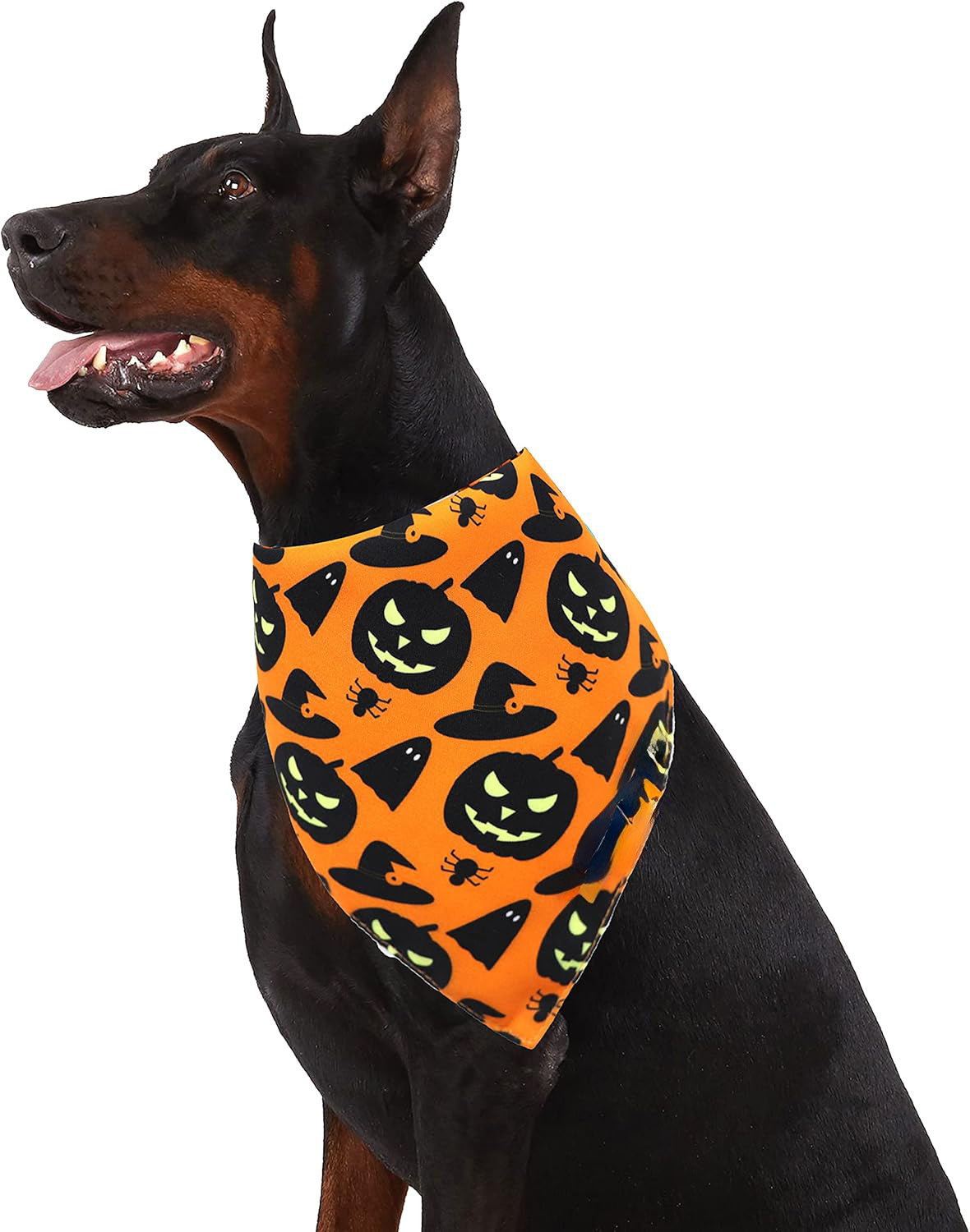 JMT-390474 Reversible Halloween Dog Bandana with Pumpkin and Spider Web Designs for Pets, Adjustable Fit up to 16 Inches