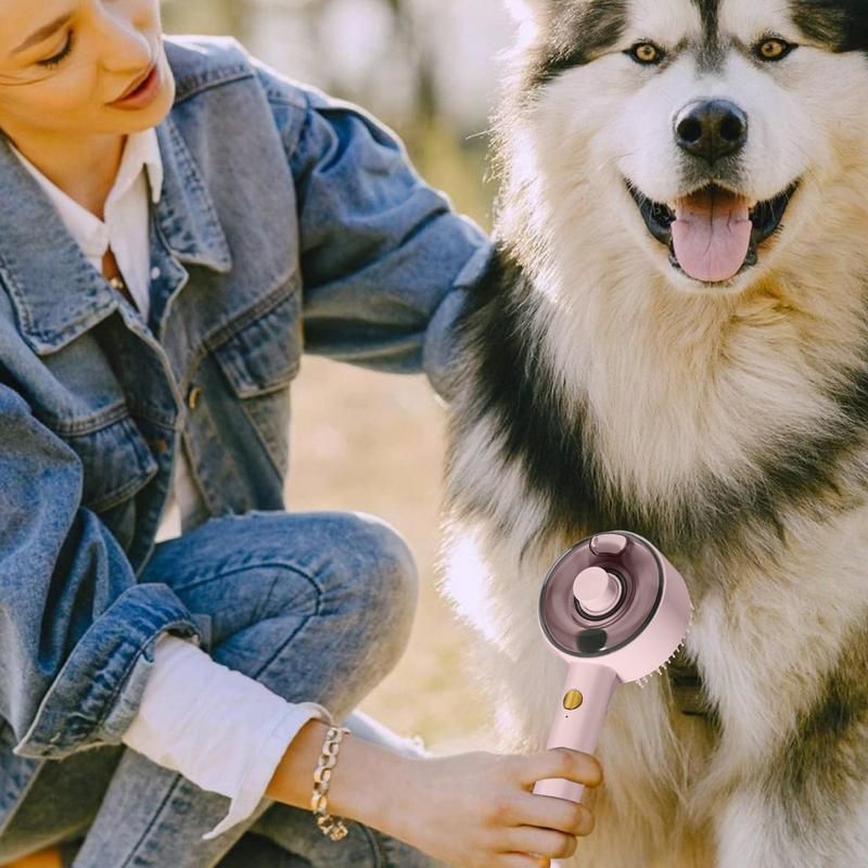 JMT-391242 USB Rechargeable Multifunctional Pet Steam Brush for Dogs and Cats - Defur Comb for Long and Short Hair