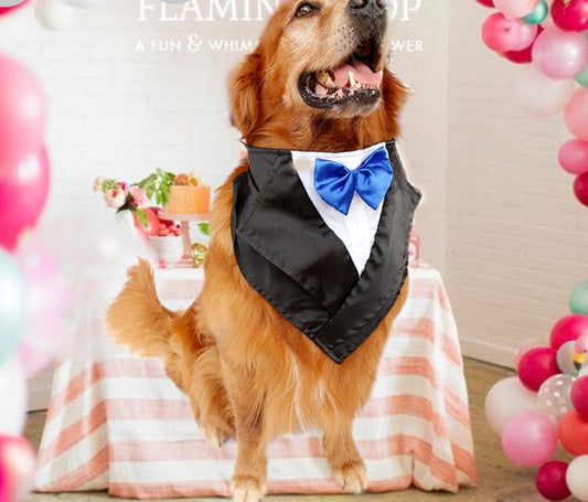 JMT-391626 Elegant Dog Tuxedo Triangle Scarf – Adjustable Neck Size 57-67Cm, Silk Fabric with Waterproof Nylon Base in Red, Blue, and Purple