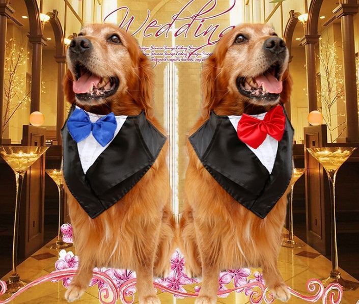JMT-391626 Elegant Dog Tuxedo Triangle Scarf – Adjustable Neck Size 57-67Cm, Silk Fabric with Waterproof Nylon Base in Red, Blue, and Purple