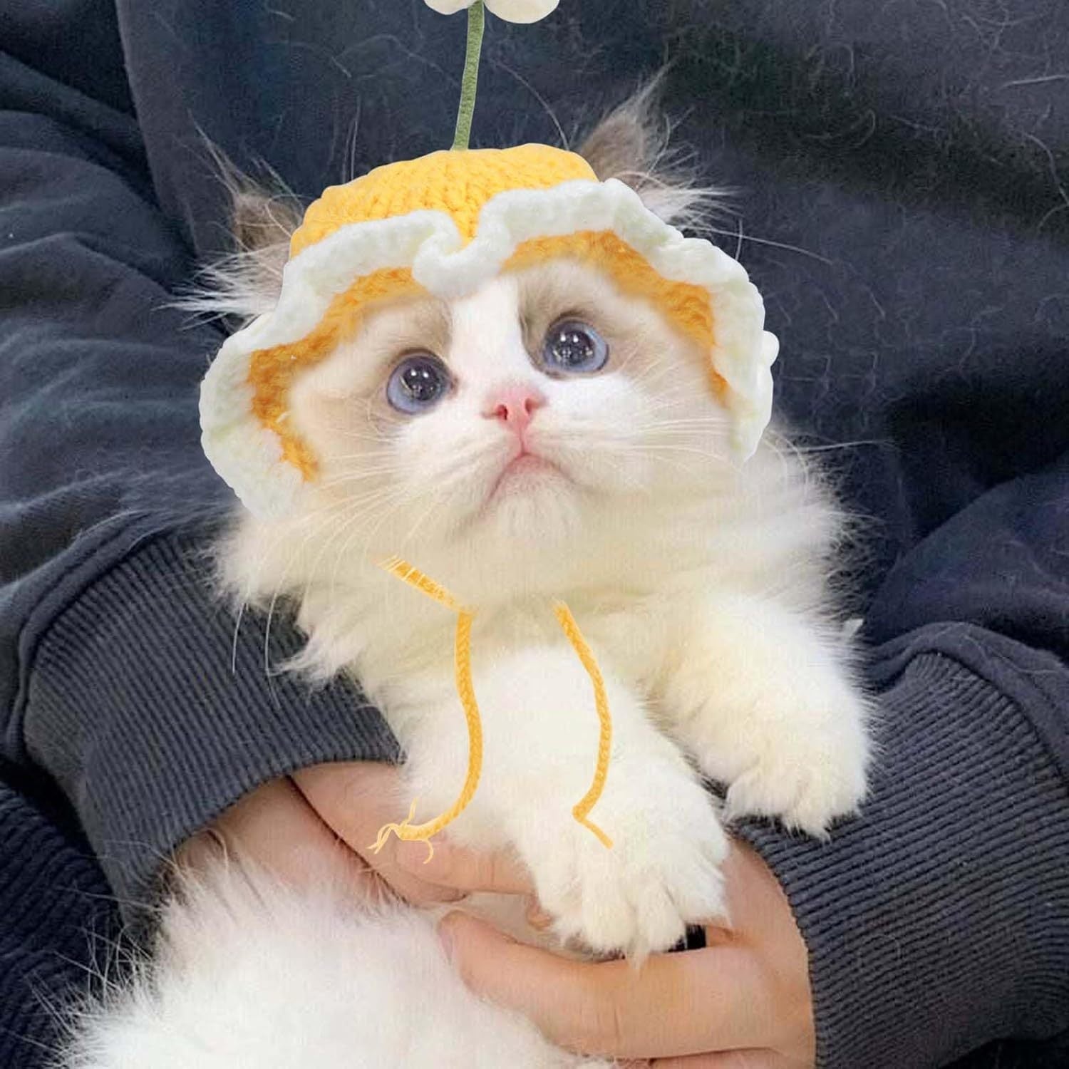 JMT-396426 Knit Cat and Dog Hat for Pets - Cute Cartoon Design, Warm Soft Fabric, Ideal for Halloween and Holiday Costumes