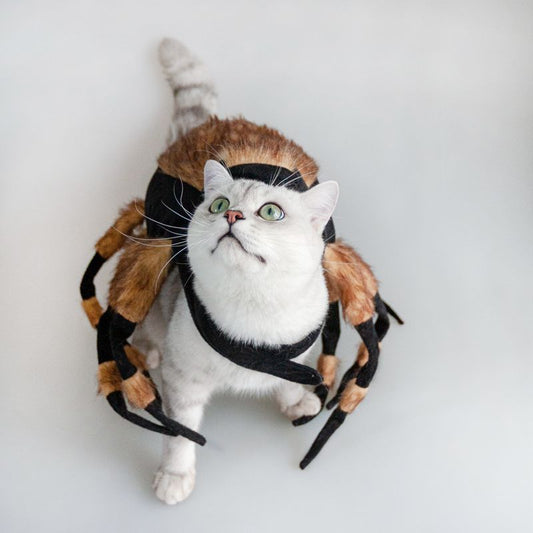 JMT-396682 Pet Spider Costume for Cats and Dogs with Adjustable Straps, Ideal for Halloween Parties