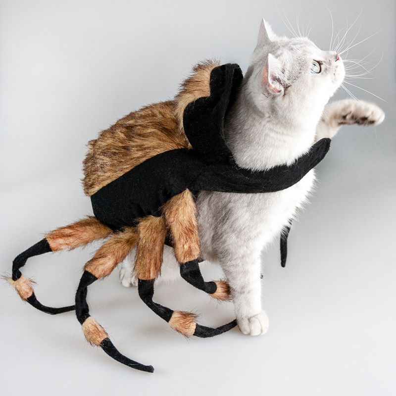 JMT-396682 Pet Spider Costume for Cats and Dogs with Adjustable Straps, Ideal for Halloween Parties