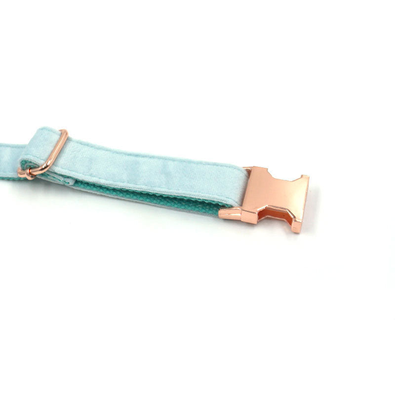 JMT-396938 Sapphire Velvet Pet Collar with Rose Gold Accents - Available in Multiple Sizes
