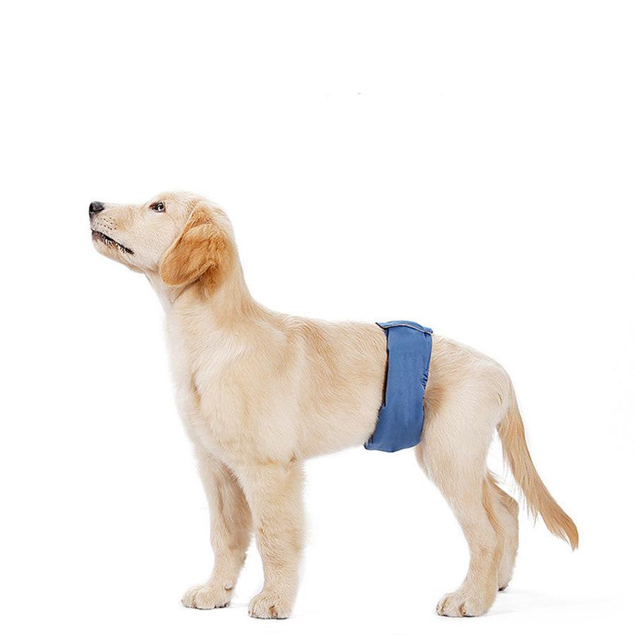 JMT-397130 Breathable and Absorbent Dog Menstrual Pants for Pets