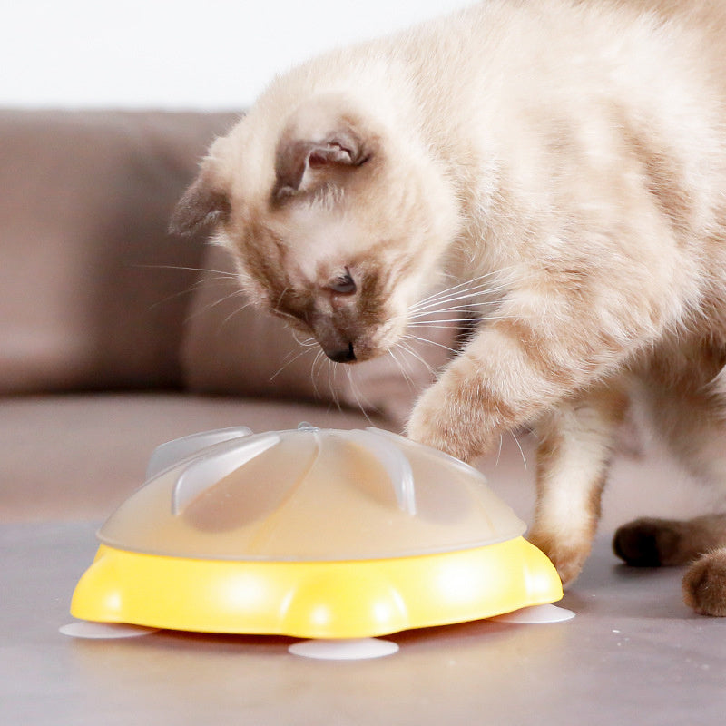 JMT-397898 Interactive Snack Bowl for Cats - Educational Pet Toy and Storage Solution