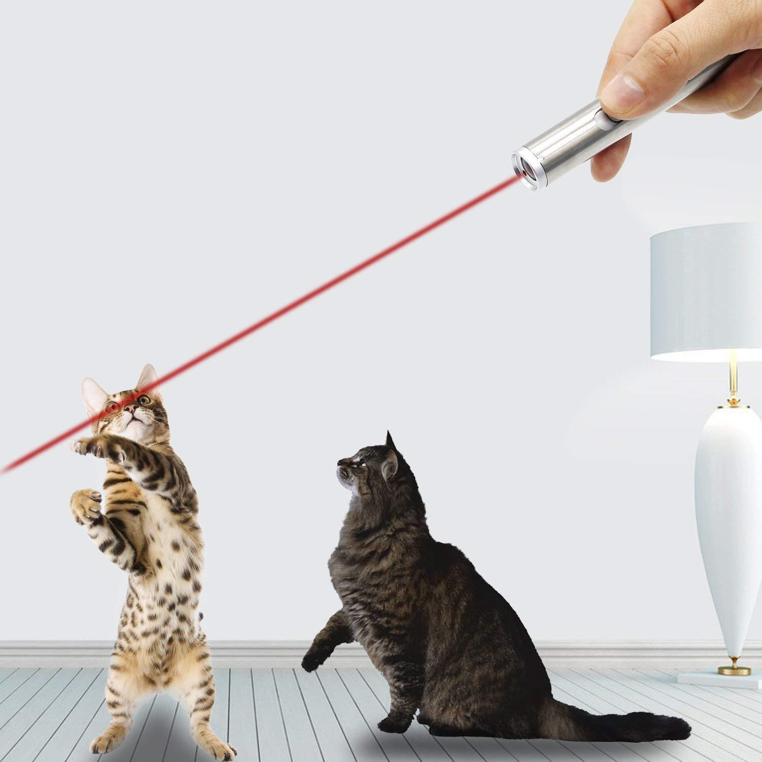JMT-401354 Stainless Steel Laser Light and Cat Toy Stick