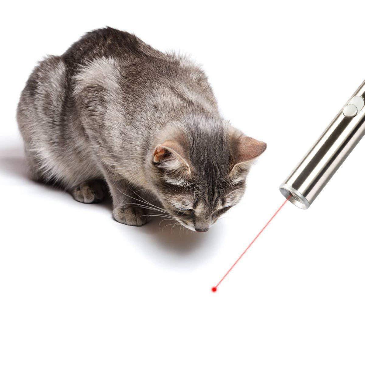 JMT-401354 Stainless Steel Laser Light and Cat Toy Stick