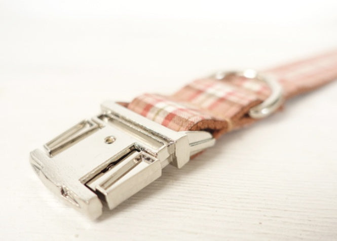 JMT-407626 Creative Polyester Dog Collar with Adjustable Sizing