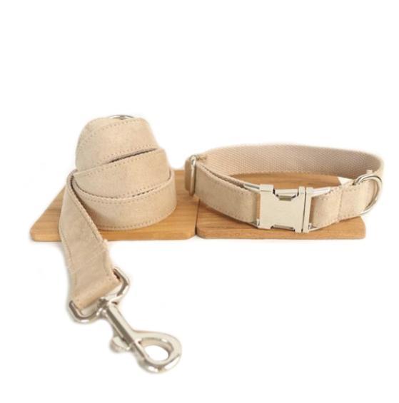 JMT-407626 Creative Polyester Dog Collar with Adjustable Sizing