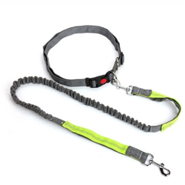 JMT-413066 Adjustable Traction Rope Dog Leash with Elastic Waistband and Reflective Strip