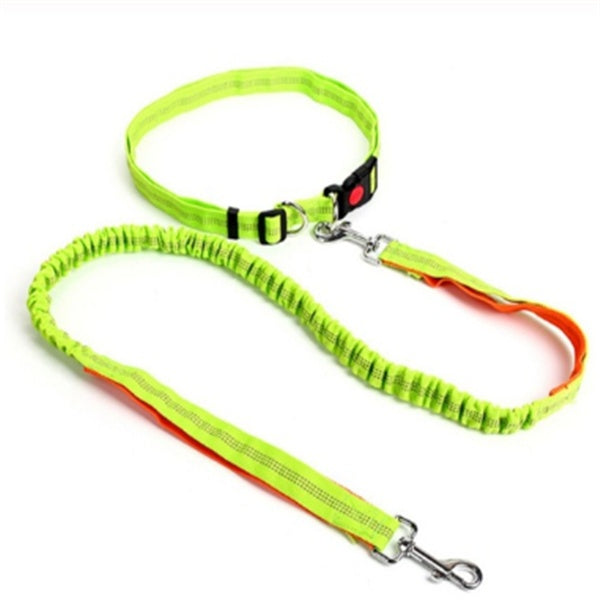 JMT-413066 Adjustable Traction Rope Dog Leash with Elastic Waistband and Reflective Strip