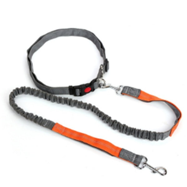 JMT-413066 Adjustable Traction Rope Dog Leash with Elastic Waistband and Reflective Strip