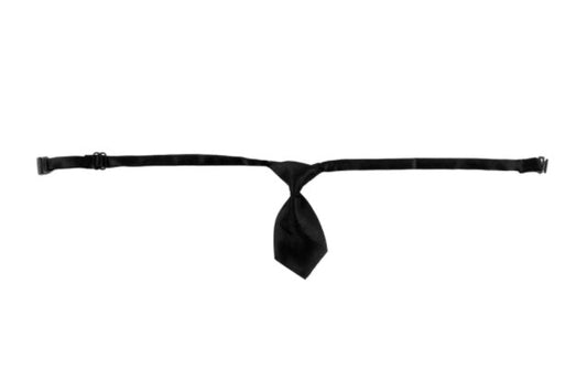 JMT-413386 Pet Graduation Costume Set with Adjustable Cap and Tie for Small and Medium Dogs