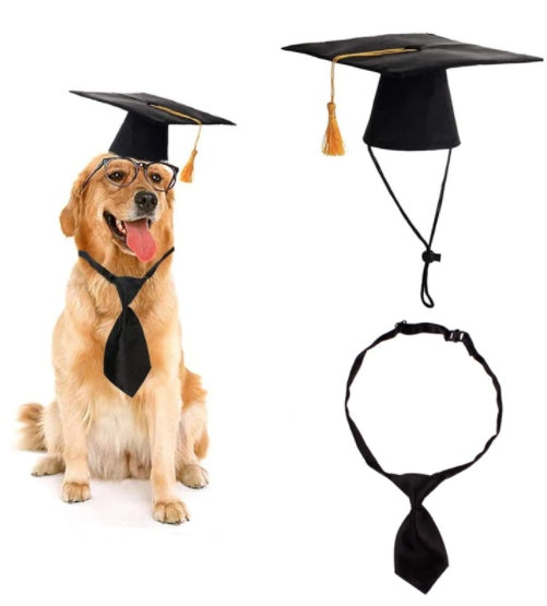 JMT-413386 Pet Graduation Costume Set with Adjustable Cap and Tie for Small and Medium Dogs