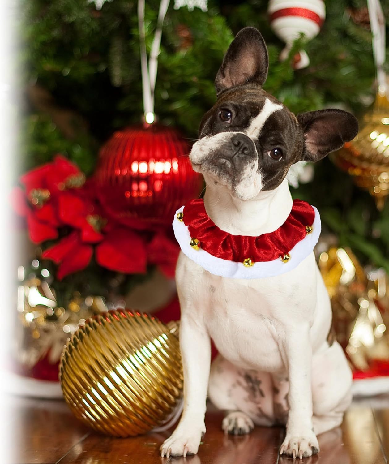 JMT-416522 Christmas Dog Collar with Bells - Soft Red and White Neckwear for Small to Large Dogs