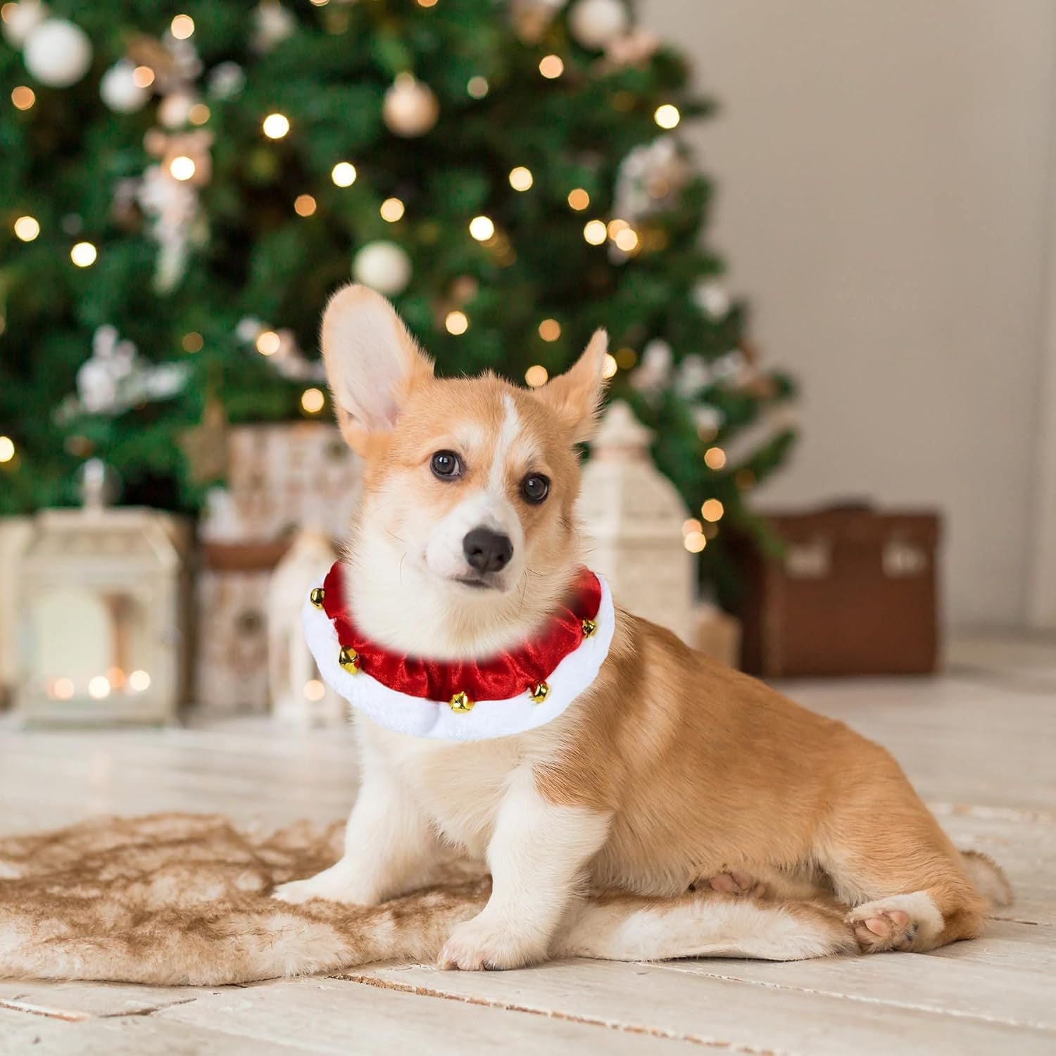 JMT-416522 Christmas Dog Collar with Bells - Soft Red and White Neckwear for Small to Large Dogs