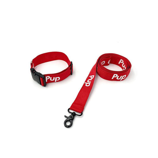 JMT-421130 Adjustable Red Dog Collar for Small and Medium Dogs with Leash Set