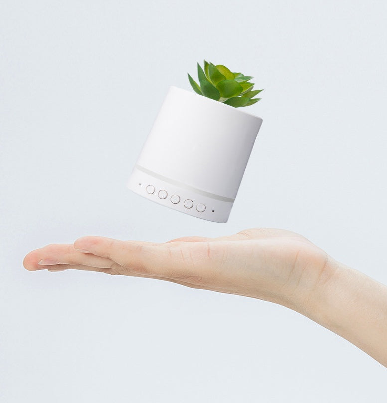 JMT-422794 Wireless Portable Succulent Plant Light with Bluetooth Audio and USB Charging