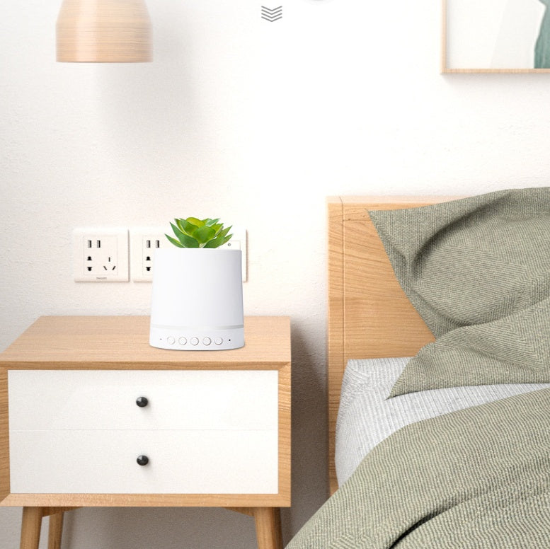 JMT-422794 Wireless Portable Succulent Plant Light with Bluetooth Audio and USB Charging