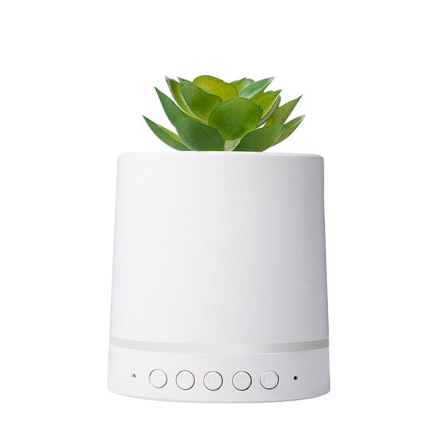 JMT-422794 Wireless Portable Succulent Plant Light with Bluetooth Audio and USB Charging